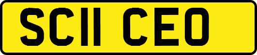 SC11CEO