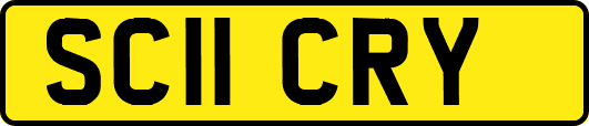 SC11CRY