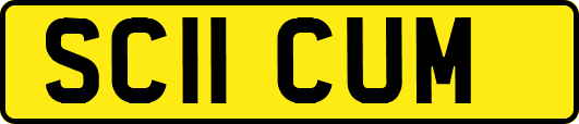 SC11CUM