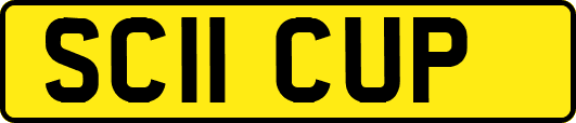 SC11CUP