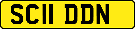 SC11DDN