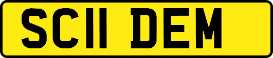SC11DEM
