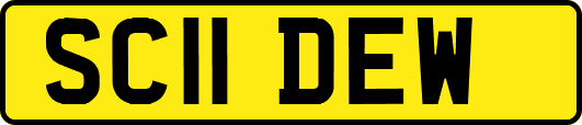 SC11DEW