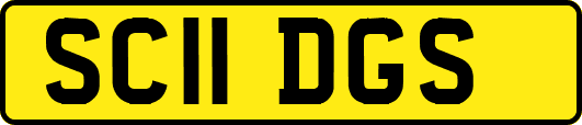 SC11DGS