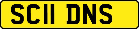 SC11DNS