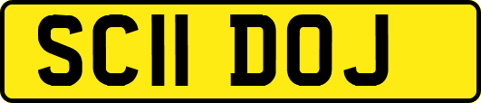 SC11DOJ