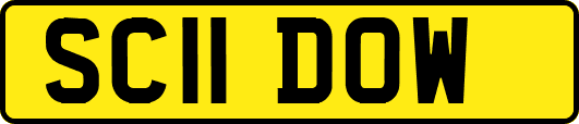 SC11DOW