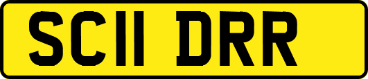 SC11DRR