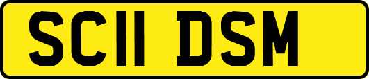 SC11DSM