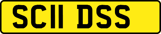 SC11DSS