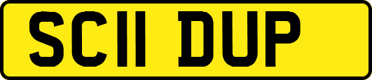 SC11DUP