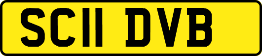 SC11DVB