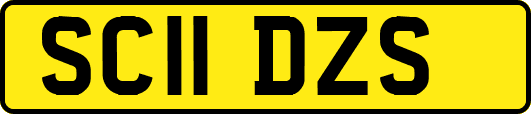SC11DZS