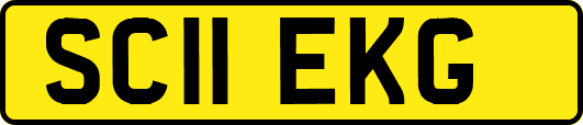 SC11EKG