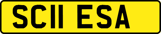 SC11ESA