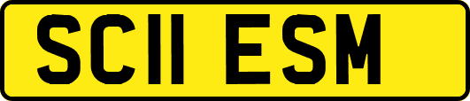 SC11ESM
