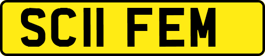 SC11FEM