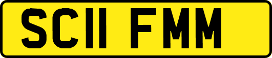 SC11FMM