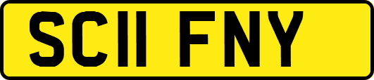 SC11FNY