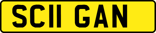 SC11GAN