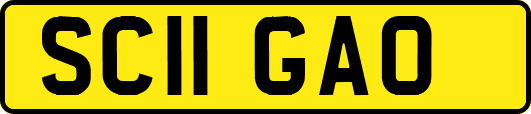 SC11GAO