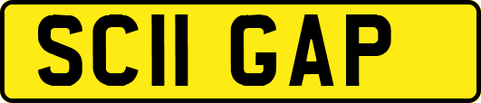 SC11GAP