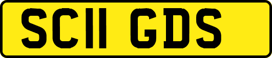 SC11GDS