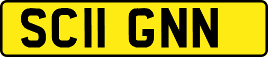 SC11GNN