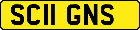 SC11GNS
