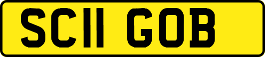 SC11GOB