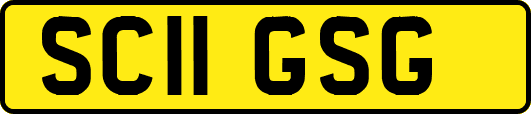 SC11GSG