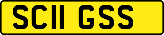 SC11GSS