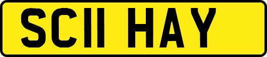 SC11HAY
