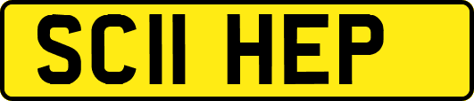 SC11HEP