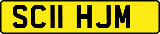 SC11HJM