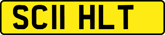 SC11HLT
