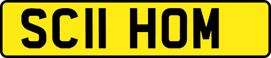 SC11HOM