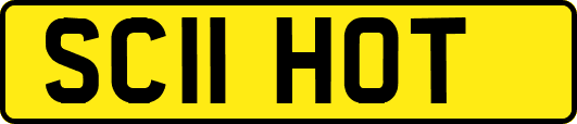 SC11HOT