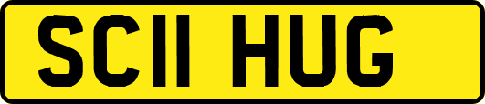SC11HUG