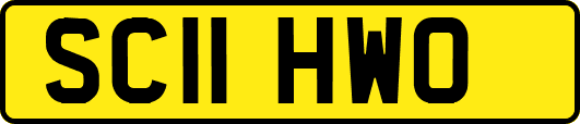 SC11HWO