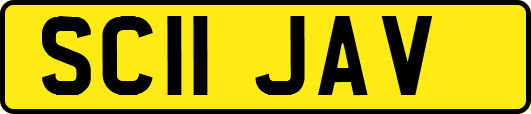 SC11JAV