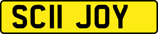 SC11JOY