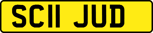 SC11JUD