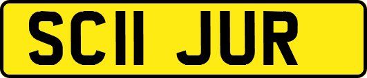SC11JUR