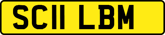 SC11LBM