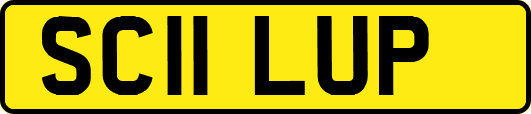 SC11LUP