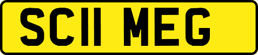 SC11MEG