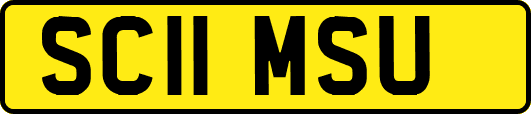 SC11MSU