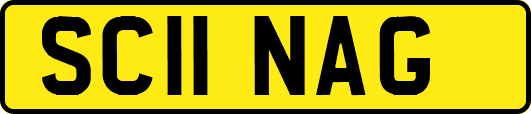 SC11NAG