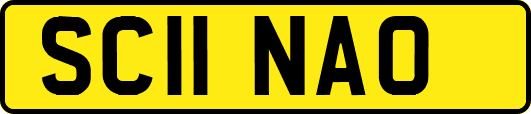 SC11NAO